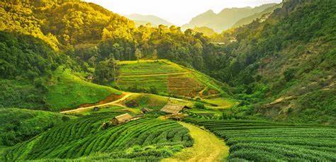 assam